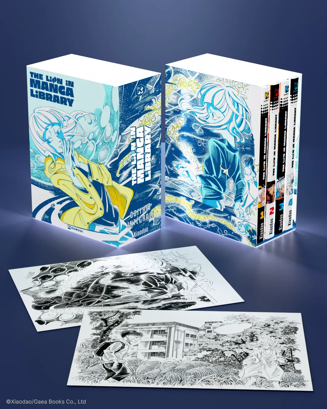 Intégrale - Box Collector